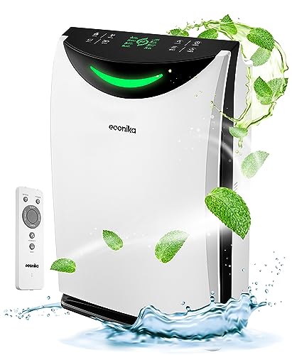 4 in 1 Humidifier and Air Purifier in One Large Room HEPA Air