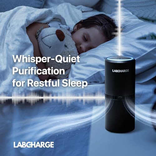Single black HEPA small room purifier — photo 3