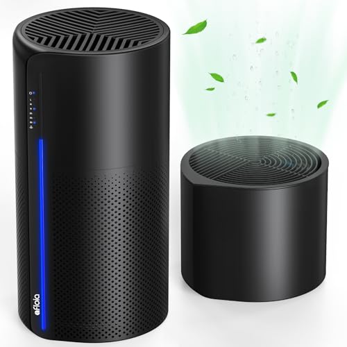 Air Purifier&Humidifier Combo