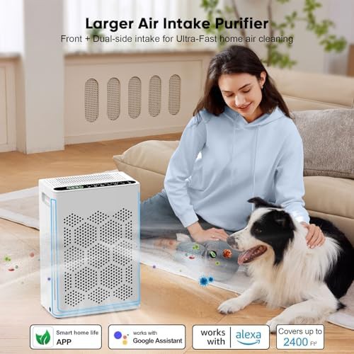 Smart WiFi extra large room purifier — photo 5