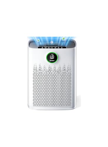 Air Purifiers for Home Large Room