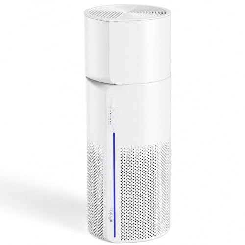 Air Purifier and Humidifier Combo