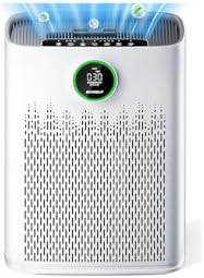 High capacity HEPA filter for smoke