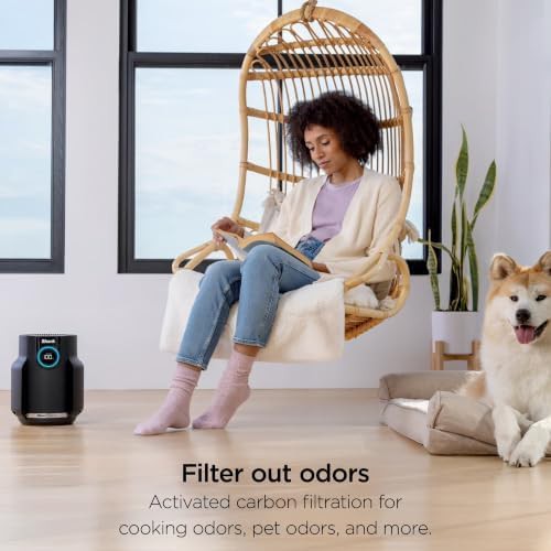 Compact black HEPA air purifier — photo 4