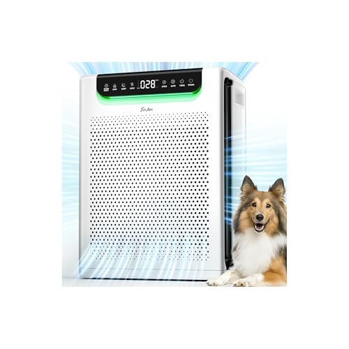 Air Purifiers for Home Large Room